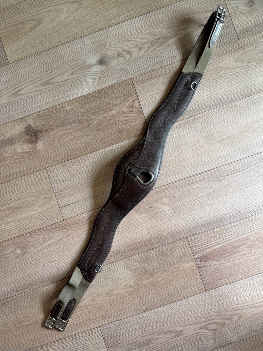 CWD anatomical girth 52”